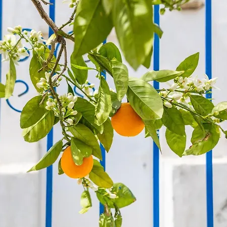 Karpathos View Willa *