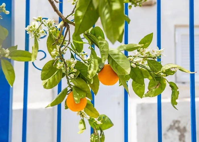 Karpathos View Villa *